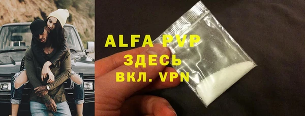 стафф Осташков