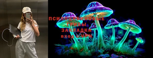 мяу мяу мука Осинники