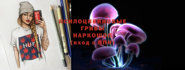 стафф Осташков