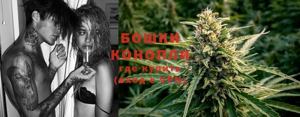стафф Осташков