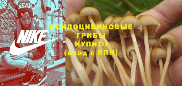 стафф Осташков