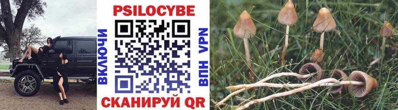 Галлюциногенные грибы GOLDEN TEACHER  Купить закладки  Староминская 